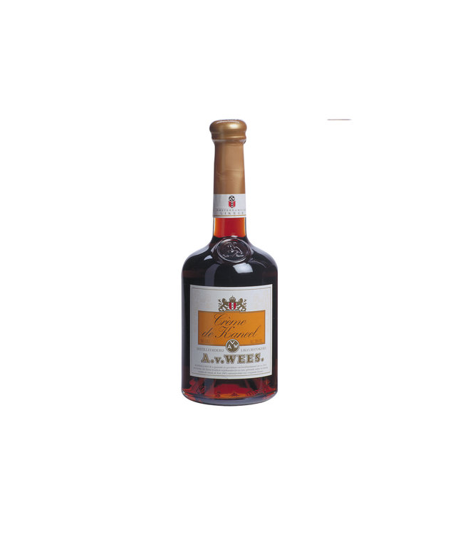 Van Wees Creme De Kaneel 0,50 ltr 28%