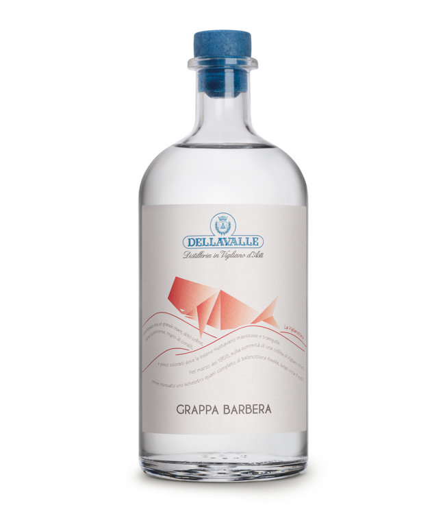 Villa Isa Di Barbera 0,70 ltr 42%