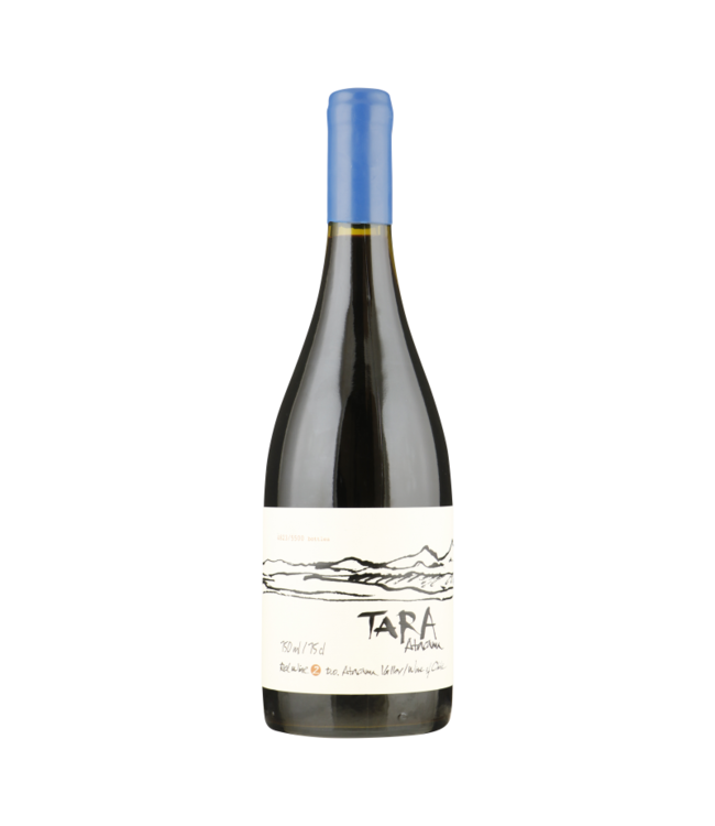 Ventisquero Tara Premium Syrah -Atacama Valley 0,75 ltr 12,5%