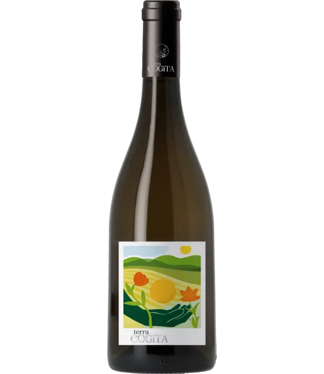 Terra Cogita Soreli Blanc 0,75 ltr 12,5%