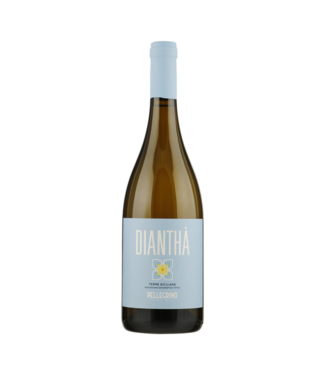 Pellegrino Diantha Bianco 0,75 ltr 12,5%