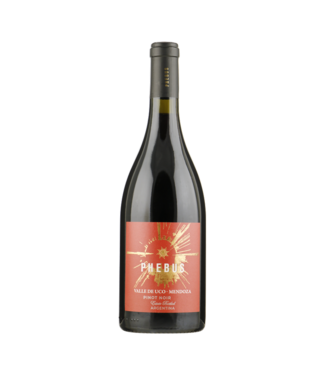 Phebus Pinot Noir - Valle De Uco 0,75 ltr 14,5%