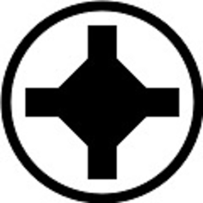 10 stuks phillips schroefbit PH2