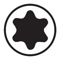 Torx bitjes