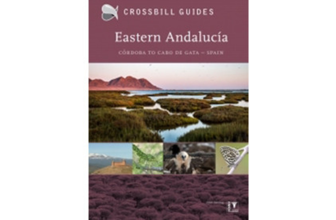 Crossbill Guide Eastern Andalucia - Córdoba to Cabo de Gata - Spain