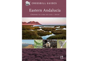 Crossbill Guide Eastern Andalucia