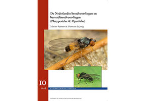 De Nederlandse Breedvoetvliegen (Platypezidae & Opetiidae)