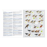HBW and Birdlife International Illustrated Checklist of the Birds of the World, Volume 2 - Passerines
