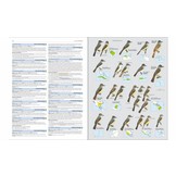 HBW and Birdlife International Illustrated Checklist of the Birds of the World, Volume 2 - Passerines
