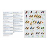 HBW and Birdlife International Illustrated Checklist of the Birds of the World, Volume 2 - Passerines