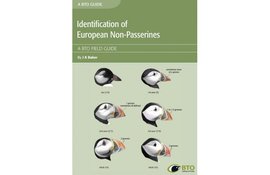 Identification of European Non-Passerines