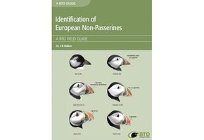 Identification of European Non-Passerines