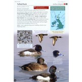 Britain's Birds - An Identification Guide to the Birds of Britain and Ireland