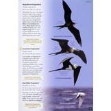 Britain's Birds - An Identification Guide to the Birds of Britain and Ireland