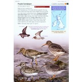 Britain's Birds - An Identification Guide to the Birds of Britain and Ireland