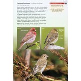 Britain's Birds - An Identification Guide to the Birds of Britain and Ireland