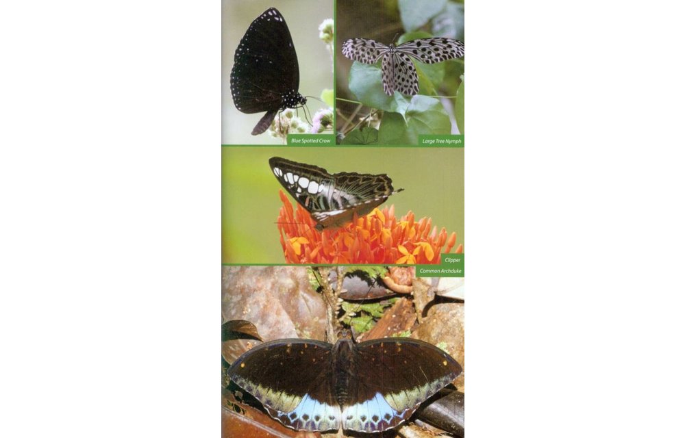Wildlife of Southeast Asia