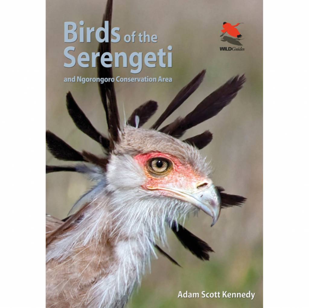 Birds of the Serengeti and Ngorongoro Conservation Area