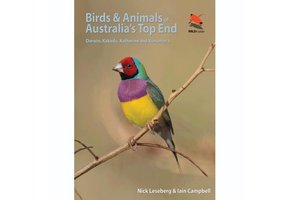 Birds & Animals of Australia's Top End