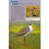 Birds & Animals of Australia's Top End - Darwin, Kakadu, Katherine, and Kununurra