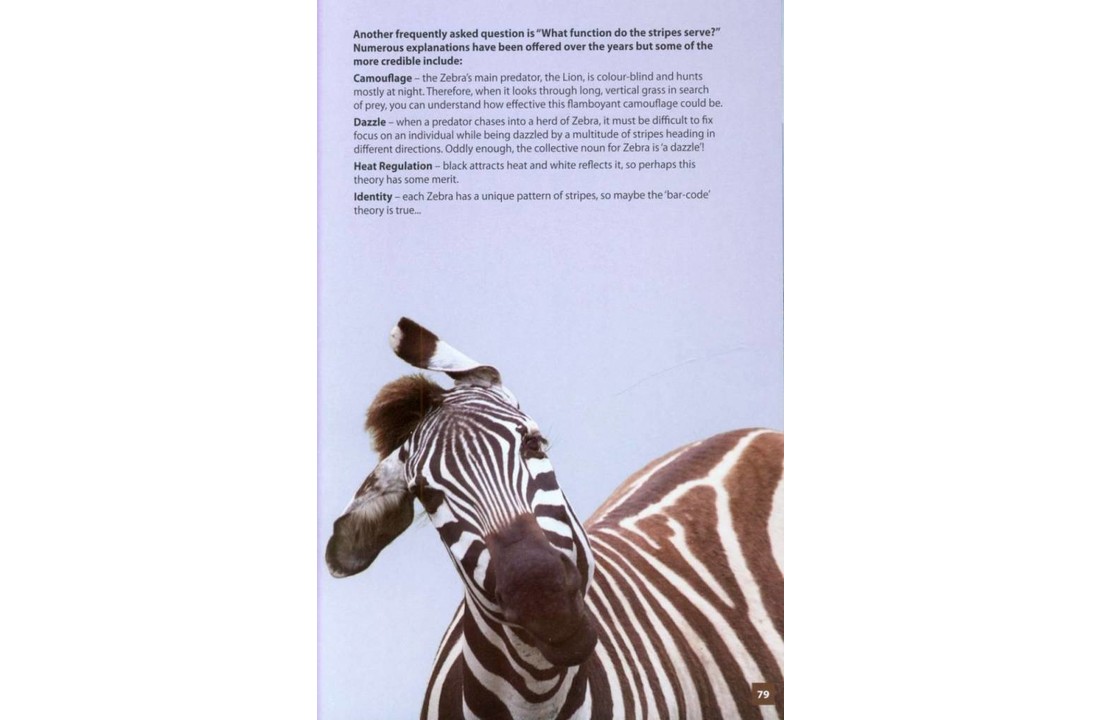 Animals of the Serengeti and Ngorongoro Conservation Area