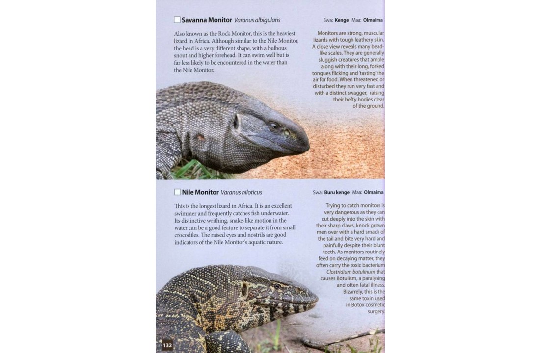 Animals of the Serengeti and Ngorongoro Conservation Area