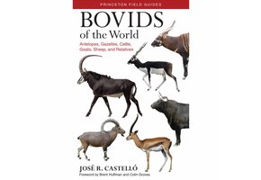 Bovids of the World