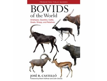 Bovids of the World