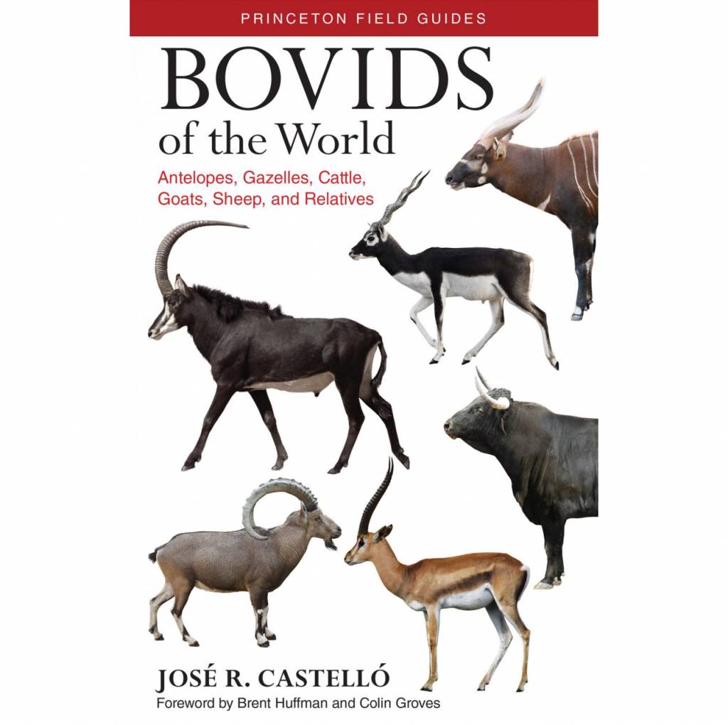 Bovids of the World - Antelopes, Gazelles, Cattle, Goats, Sheep, and Relatives