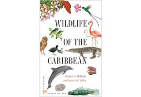Wildlife of the Caribbean