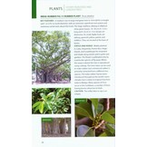 Wildlife of the Caribbean