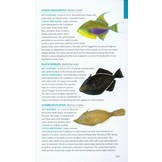 Wildlife of the Caribbean