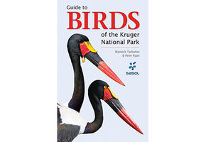 Guide to Birds of the Kruger National Park