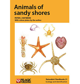 Animals of Sandy Shores
