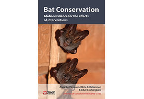 Bat Conservation