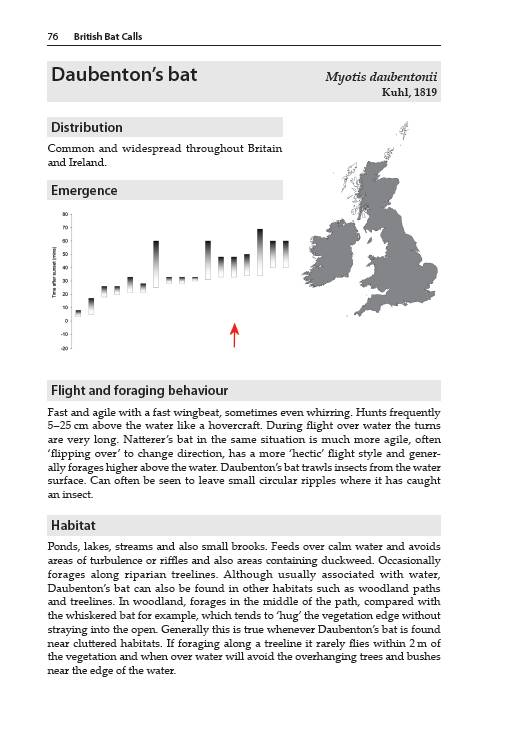 British Bat Calls