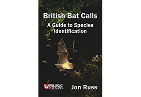 British Bat Calls