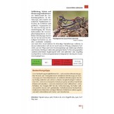 Taschenlexikon der Libellen Europas - Alle Arten von den Azoren bis zum Ural im Porträt