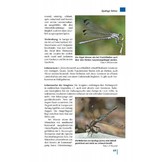Taschenlexikon der Libellen Europas - Alle Arten von den Azoren bis zum Ural im Porträt