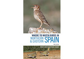 Where to Watch Birds in Northern & Eastern Spain