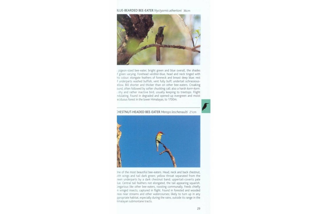 Pocket Photo Guide to the Birds of the Himalayas