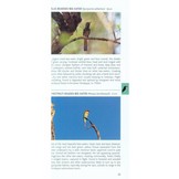 Pocket Photo Guide to the Birds of the Himalayas