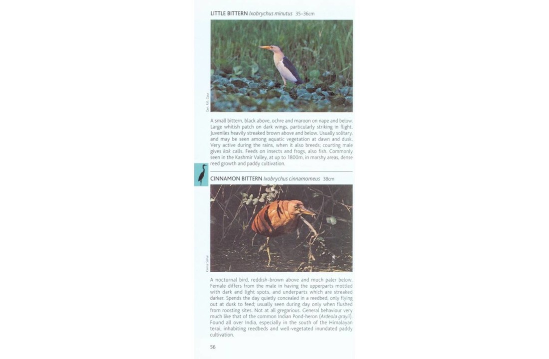 Pocket Photo Guide to the Birds of the Himalayas