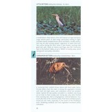 Pocket Photo Guide to the Birds of the Himalayas