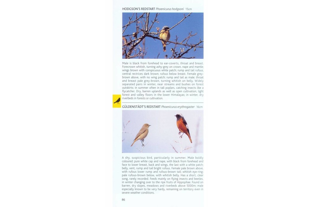 Pocket Photo Guide to the Birds of the Himalayas