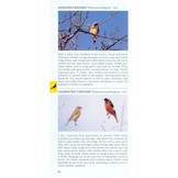 Pocket Photo Guide to the Birds of the Himalayas