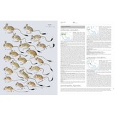 Handbook of the Mammals of the World, Vol. 7: Rodents II