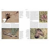 Handbook of the Mammals of the World, Vol. 7: Rodents II