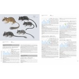 Handbook of the Mammals of the World, Vol. 7: Rodents II