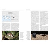 Handbook of the Mammals of the World, Vol. 7: Rodents II